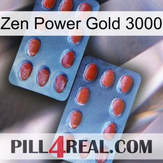 Zen Power Gold 3000 05